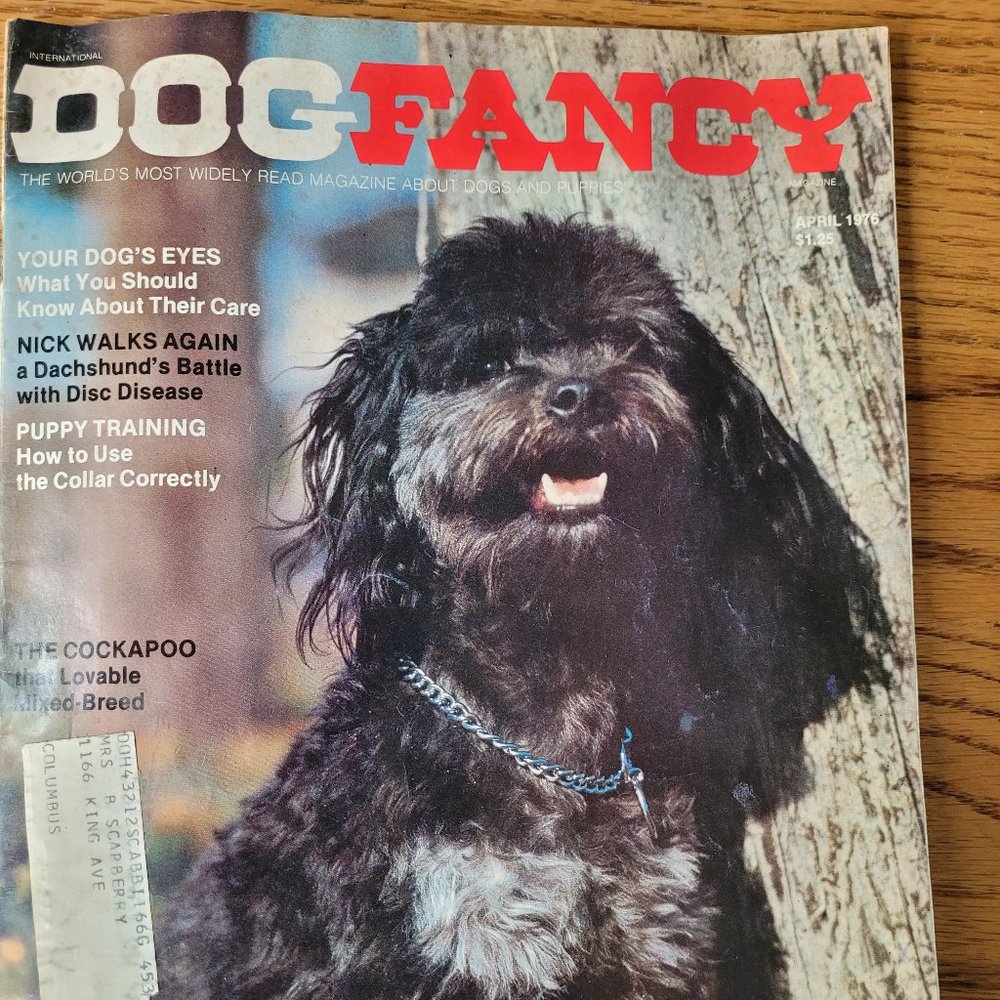 Vintage Dog Fancy magazine, April 1976, Cockapoo, Charles Dickens' Dogs, Puppy T